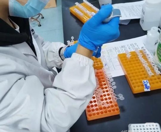 method-development02